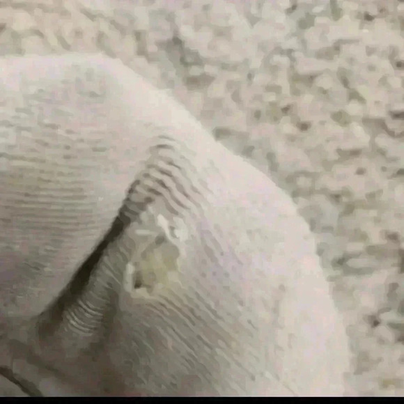 New Balance CT302 'White/Pink Sneaker 6M 8W - Picture 13 of 16